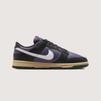 Tenis Nike Dunk Low Next Nature Dark Raisin Morado DD1873 500